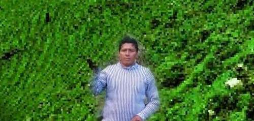 Árbol aplastó y mató a “Cholo Rueda” en Chaglla