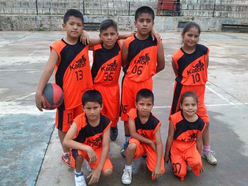 Situación de las ligas deportivas
