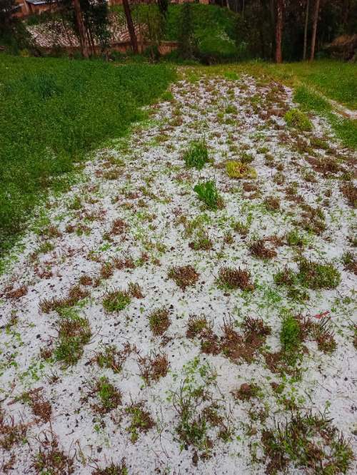 Lluvias se intensifican en Ambo: Alertan riesgo de inundaciones por incremento en ríos Huertas y Huallaga