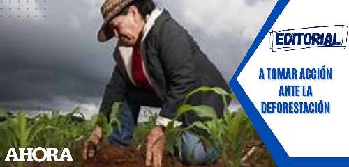 A tomar acción ante la deforestación