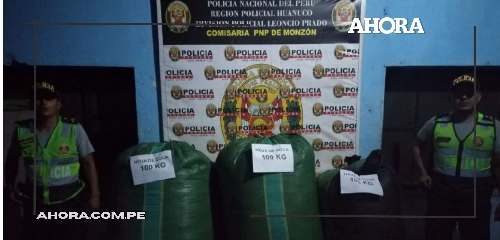 Decomiso de 300 kg de hoja de coca seca