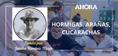 HORMIGAS, ARAÑAS, CUCARACHAS
