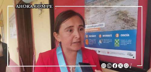 JNE admitió segundo pedido de vacancia contra alcaldesa Diana Plejo