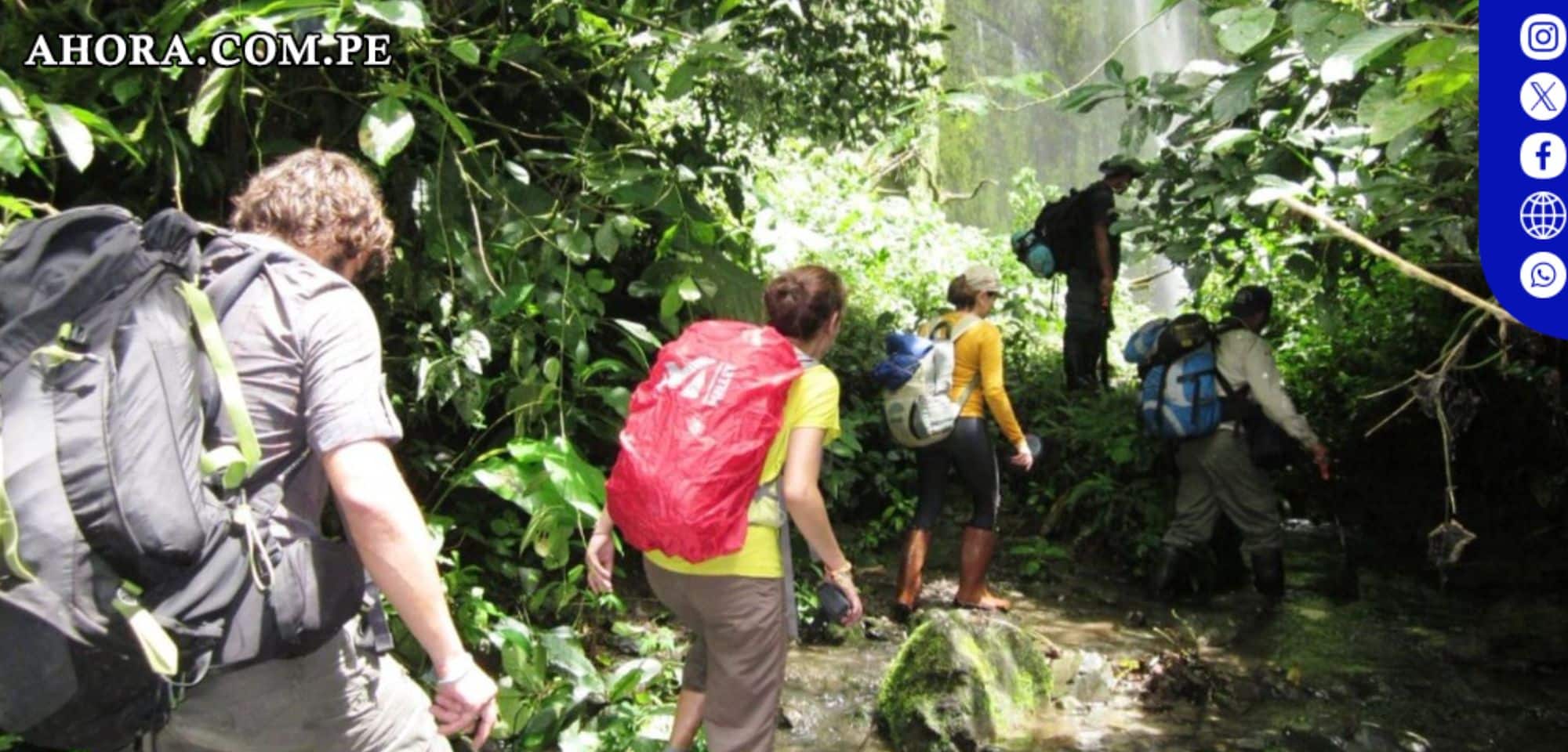 Parque Nacional Tingo María se une al Global Big Day 2024
