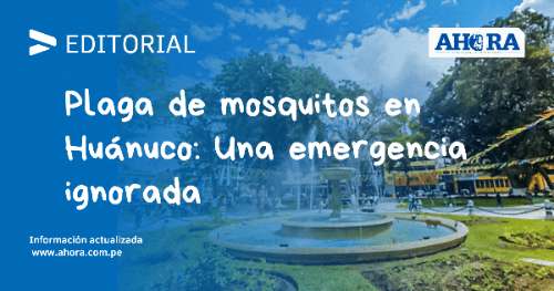 Plaga de mosquitos en Huánuco: Una emergencia ignorada