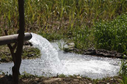 Fiscal ambiental advierte posible proliferación de bacteria Escherichia coli por descargas de aguas servidas en canal de regadío