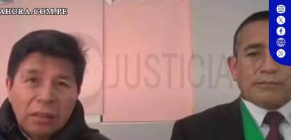 Pedro Castillo utilizó frases agraviantes contra Dina Boluarte en audiencia