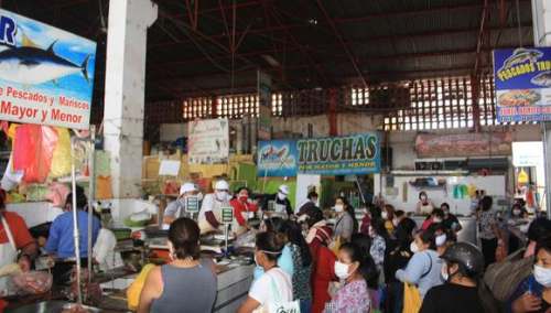 Exhortan a comerciantes del Mercado Modelo a renovar carnet sanitario