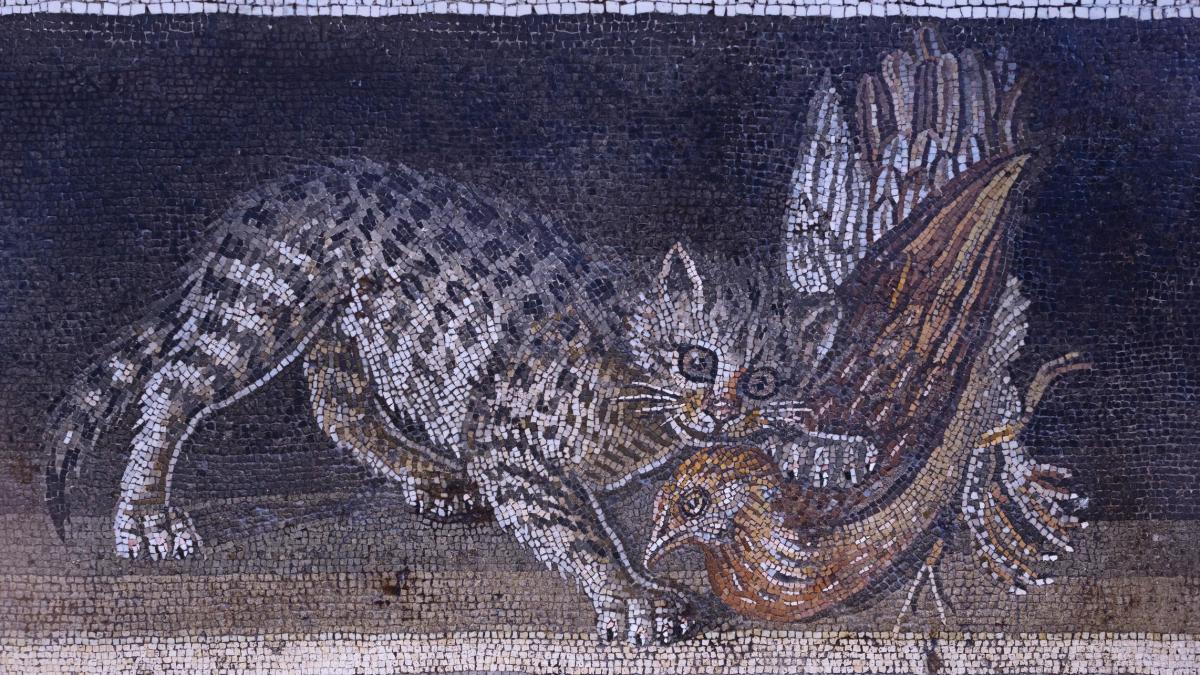 Registros confirman que Romanos antiguos lloraban a sus mascotas