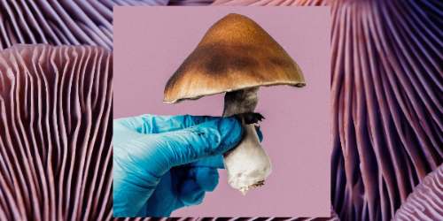 Psicodélicos no pasan la prueba científica aún