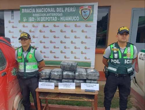Incautan más de 32 kilos de marihuana durante operativo policial en la zona de Huachipa