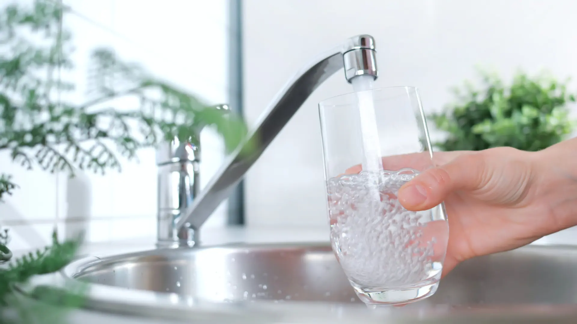 Mitos del agua: ¿Ocho vasos diarios? Diario Ahora te dice la verdad