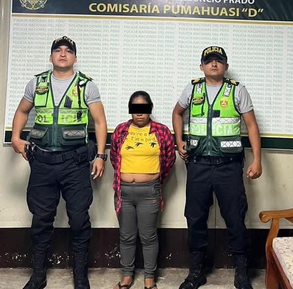 Detienen a mujer con requisitoria por presunto delito de violación sexual de menor en Pumahuasi