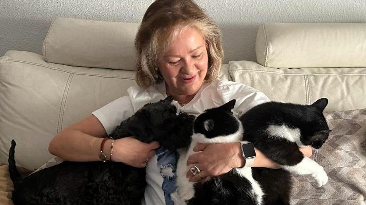 Ana María Martín: Sus 8 gatos se multiplicaron a más de cien