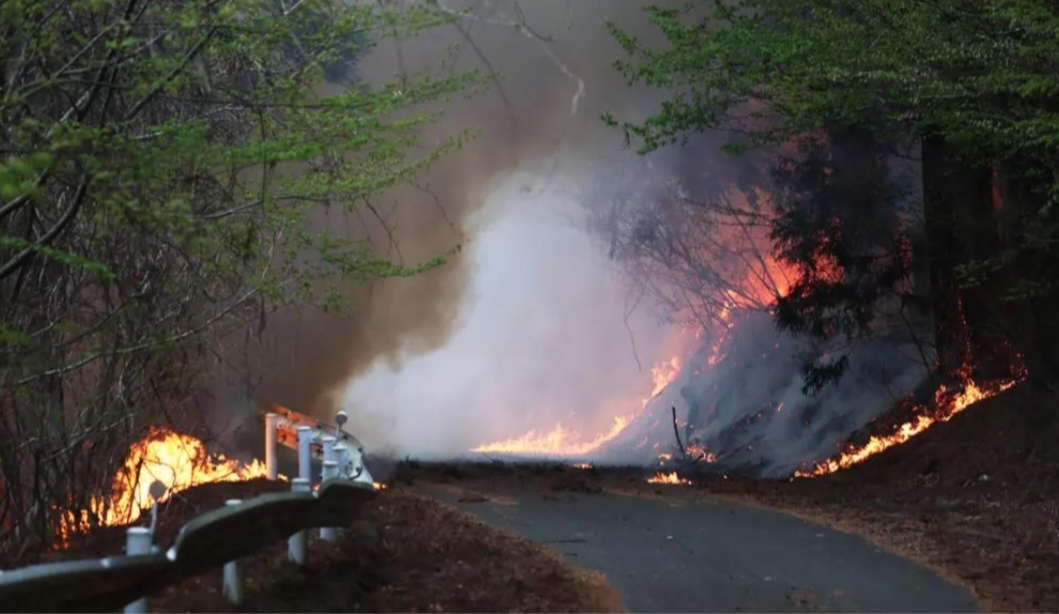Incendios forestales amenazan viviendas en el norte de Japón