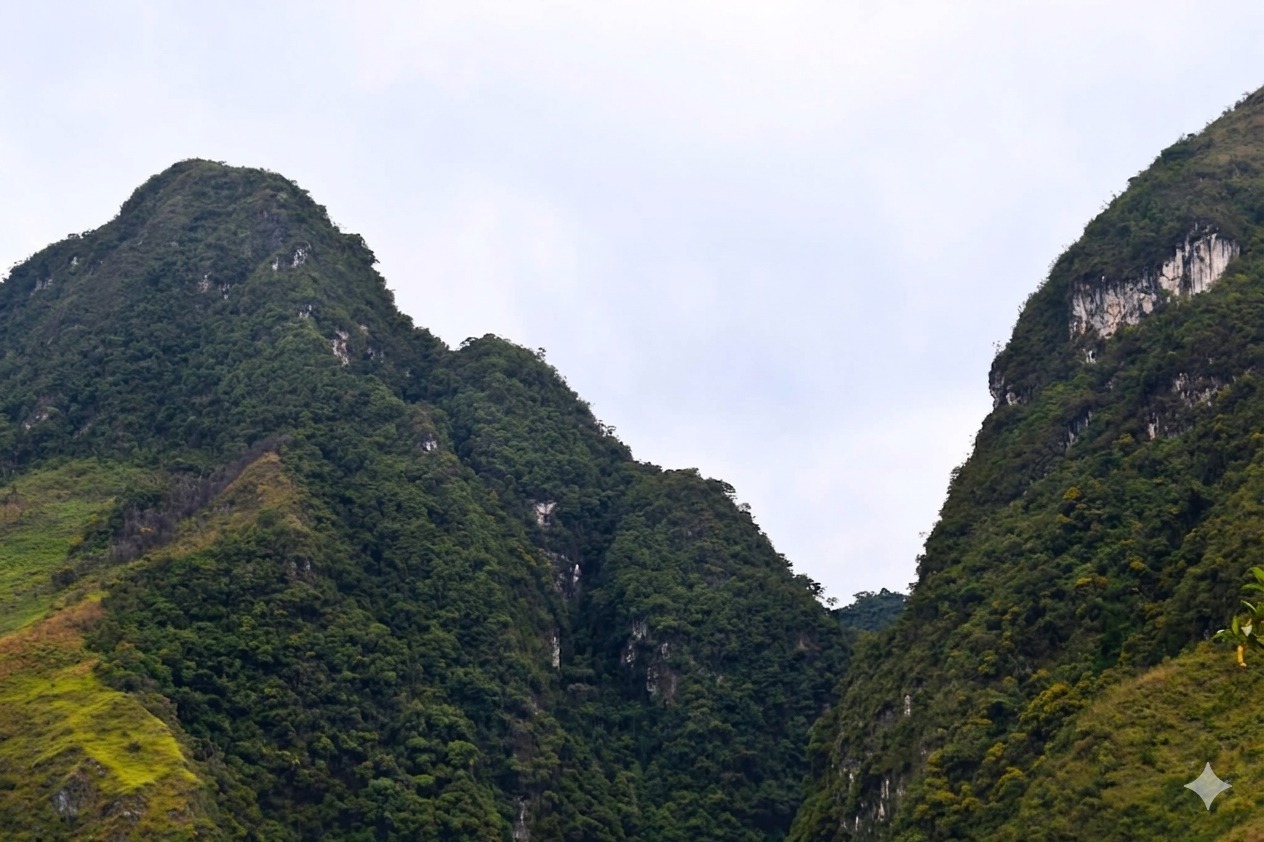 Activan mesa multisectorial tras detectar daños críticos en el bosque Monte Verde