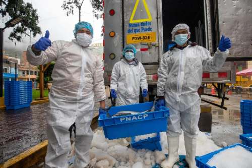 Anuncian venta de  pescado económico y feria por Semana Santa