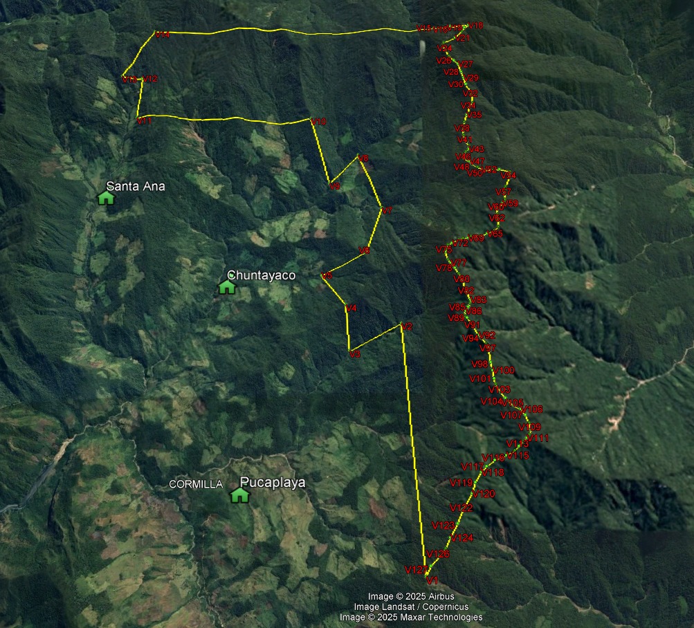 Monte Verde denuncia presión sobre bosque de Chaglla tras nulidad de concesión