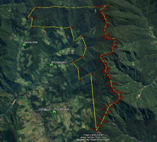 Monte Verde denuncia presión sobre bosque de Chaglla tras nulidad de concesión