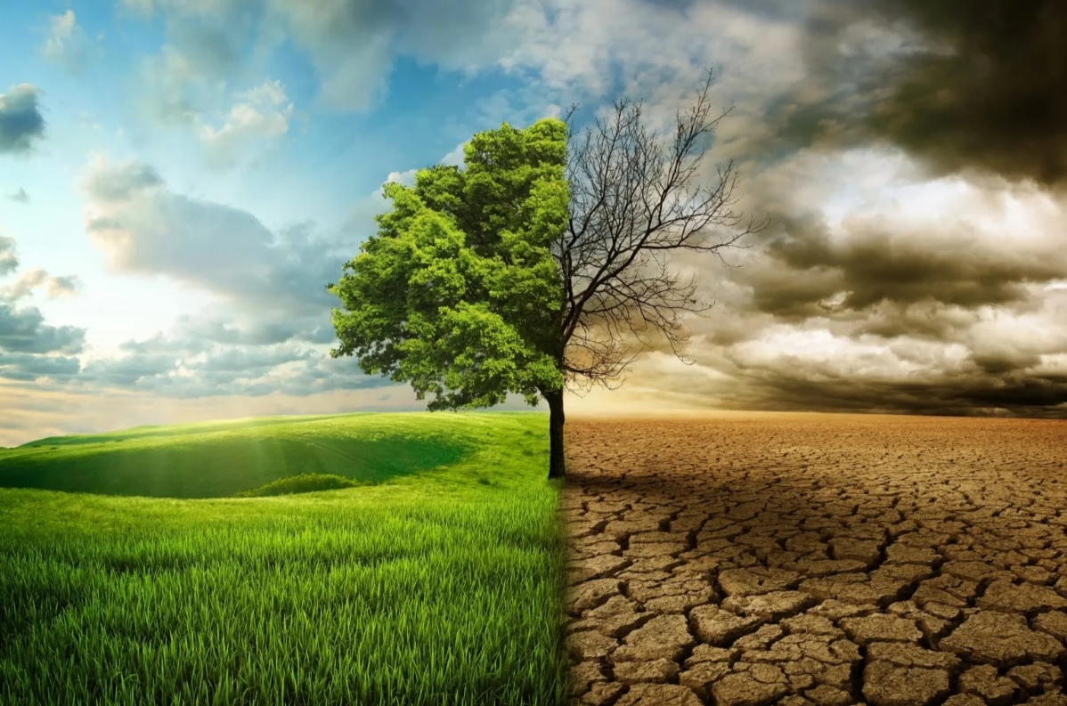Crisis climática: eventos extremos aumentan presión sobre gobiernos