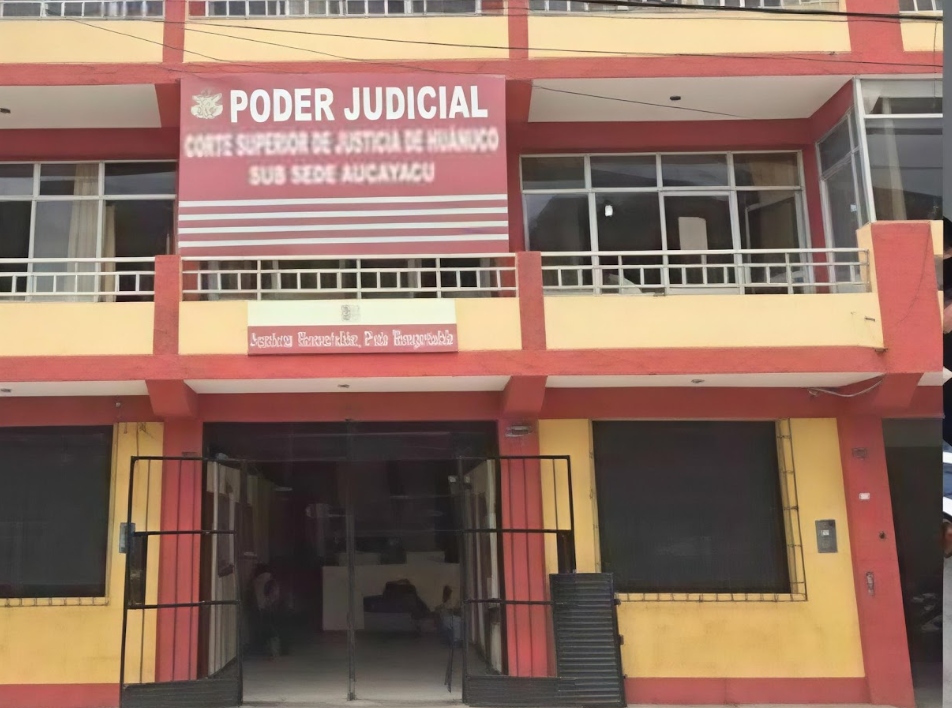 Dictan prisión preventiva contra investigado por tocamientos indebidos a menor en Aucayacu