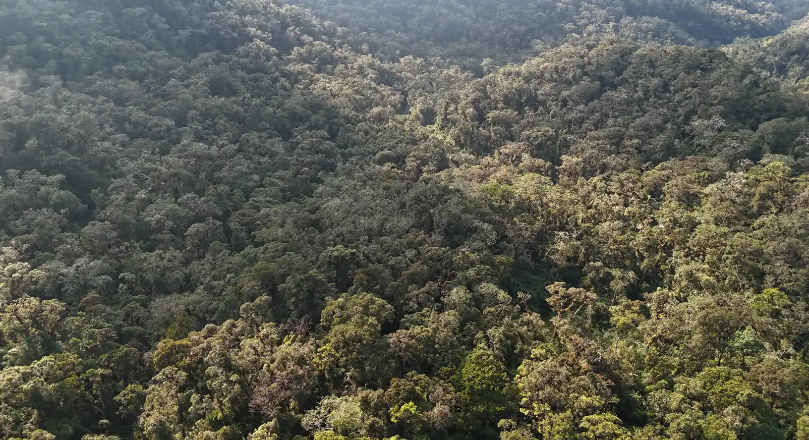 Fiscalía y Policía alistan intervención en Chaglla para frenar invasiones en área de Monteverde