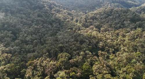Fiscalía y Policía alistan intervención en Chaglla para frenar invasiones en área de Monteverde