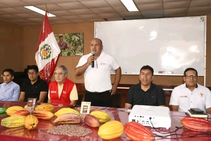 Alto Huallaga busca certificar la calidad de su cacao para el mercado exterior