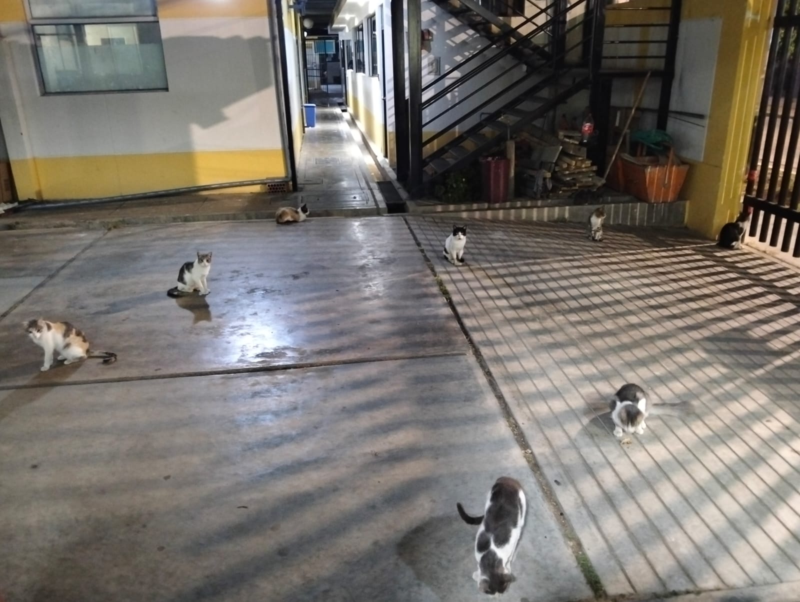 Crisis sanitaria: Denuncian colapso administrativo e insalubridad en el hospital Materno Carlos Showing