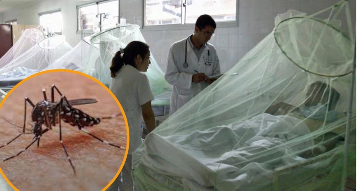 Perú refuerza vigilancia epidemiológica ante aumento de casos de dengue en regiones amazónicas