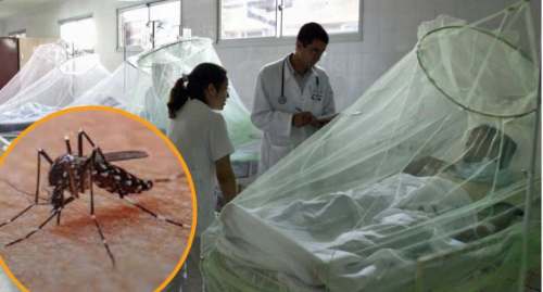 Perú refuerza vigilancia epidemiológica ante aumento de casos de dengue en regiones amazónicas