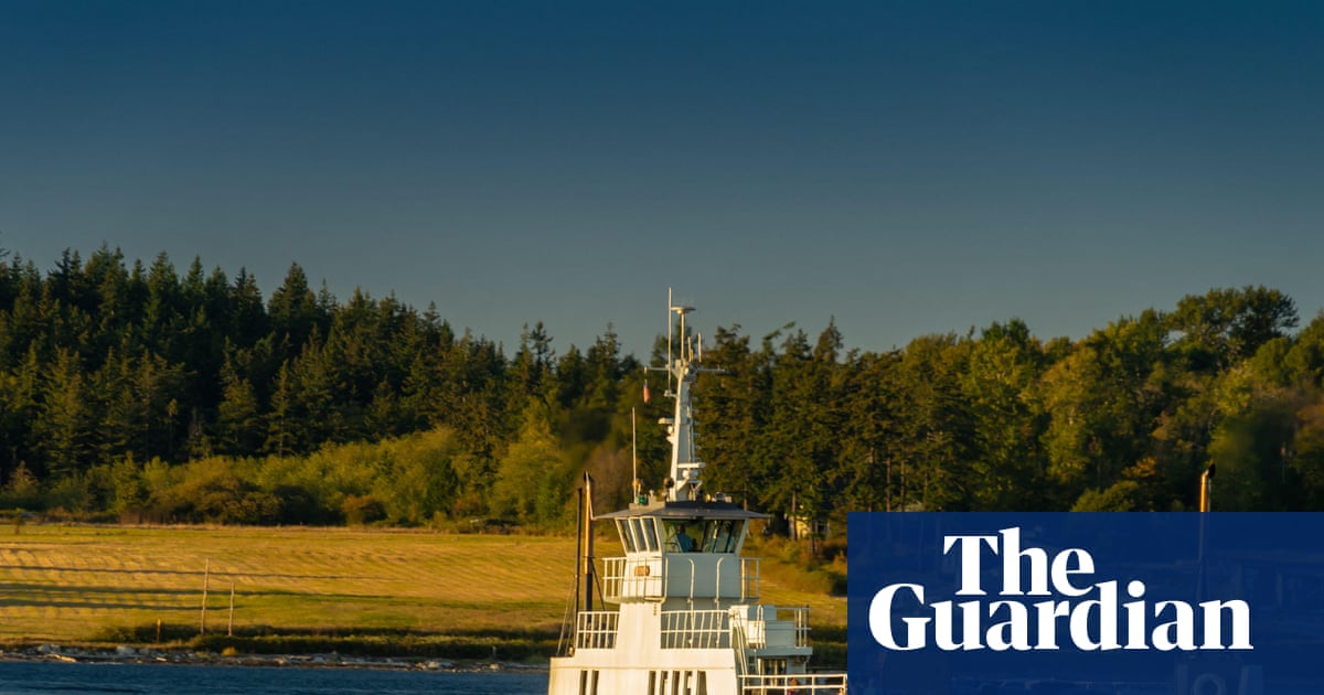 Washington: 21 zorros muertos en costa, misterio local resuelto