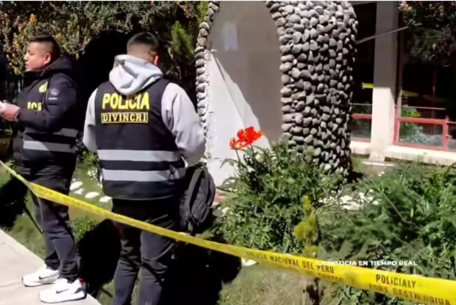 Hallan 79 plantones de amapola en jardines de la Corte de Pasco