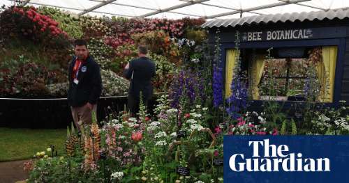 Chelsea: Críticas conservadoras por uso de turba en su feria