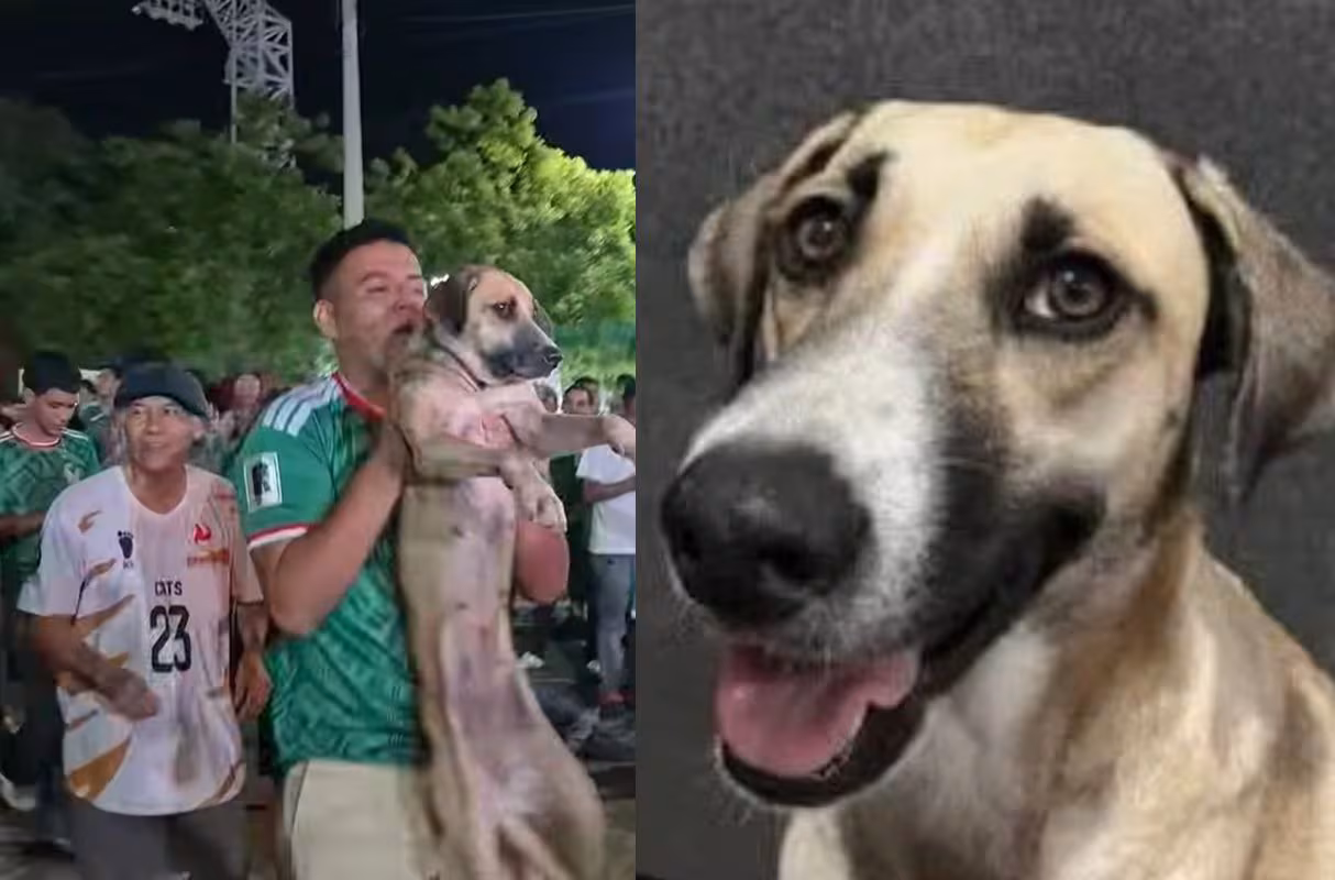 Mujer encuentra a su perrita tras verla en transmisión en vivo de festejos por México en Mundial 2026