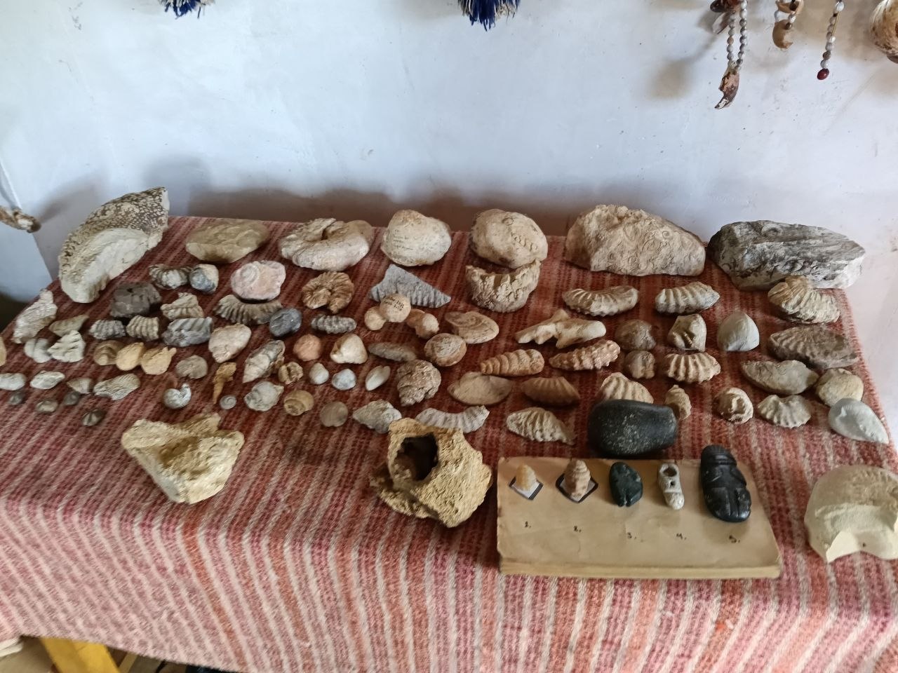 Museo comunitario busca poner en valor reliquias rescatadas en Huayo