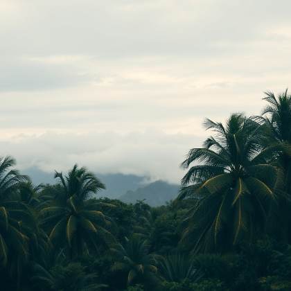 Vientos de hasta 50 km/h por tercer friaje en la selva sur: recomiendan asegurar techos