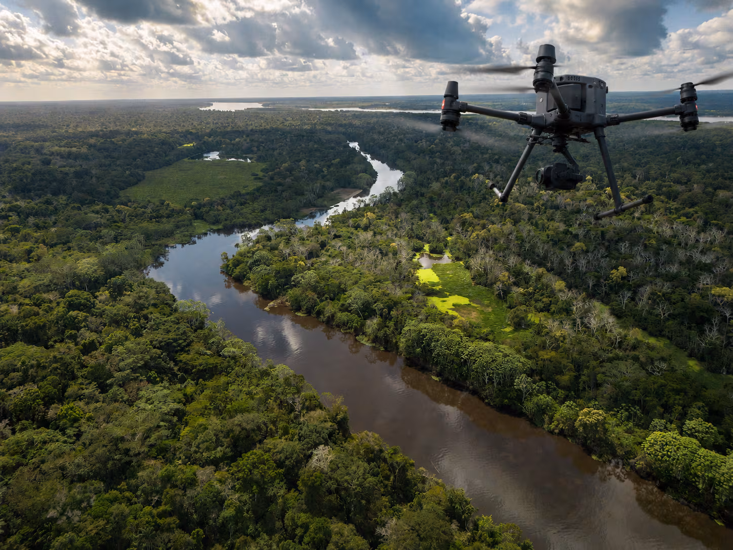 Inteligencia artificial monitorea la biodiversidad en la Amazonía peruana