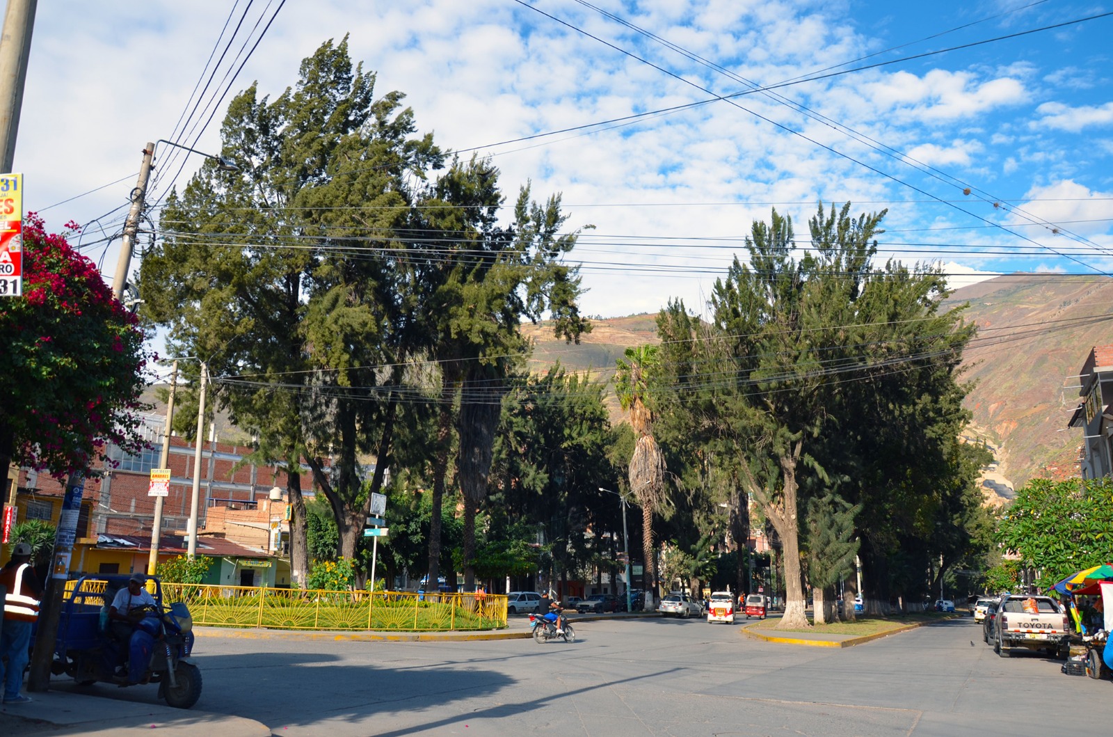 Hevert Laos advierte colapso ambiental por tala de árboles en la Alameda