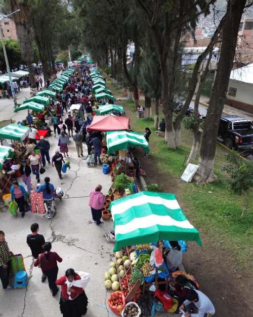 Campos cuestiona falta de socialización en proyecto de la Alameda