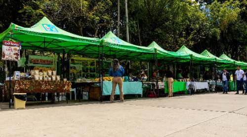 Huánuco Produce abrirá 150 espacios y espera superar S/1 millón en movimiento comercial