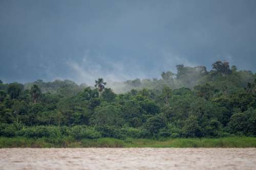 Senamhi advierte: quinto friaje del año traerá lluvias intensas y vientos fuertes a la selva sur