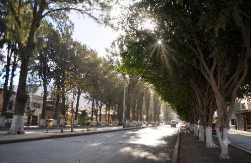 Incertidumbre ecológica paraliza el debate técnico de la obra en la Alameda