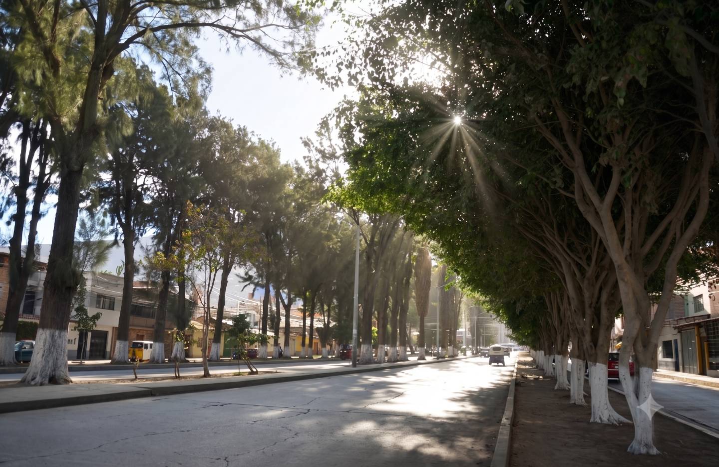 Incertidumbre ecológica paraliza el debate técnico de la obra en la Alameda
