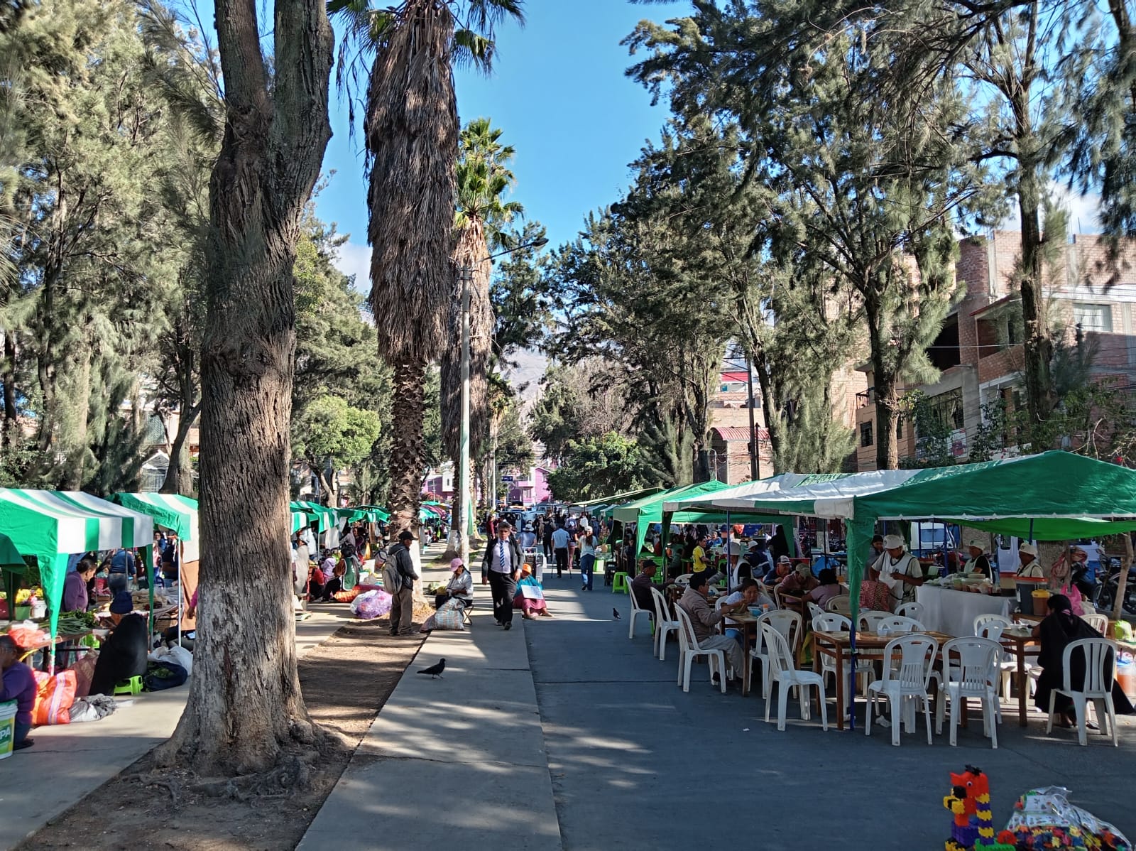 Feria sabatina mantiene sus ventas en la Alameda en medio del debate por su futuro