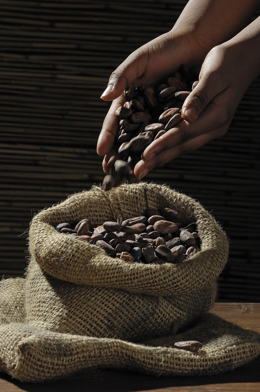 Productores de Desarrollo Alternativo confirmaron su participación en el III Festival del Cacao y Chocolate en Tingo María
