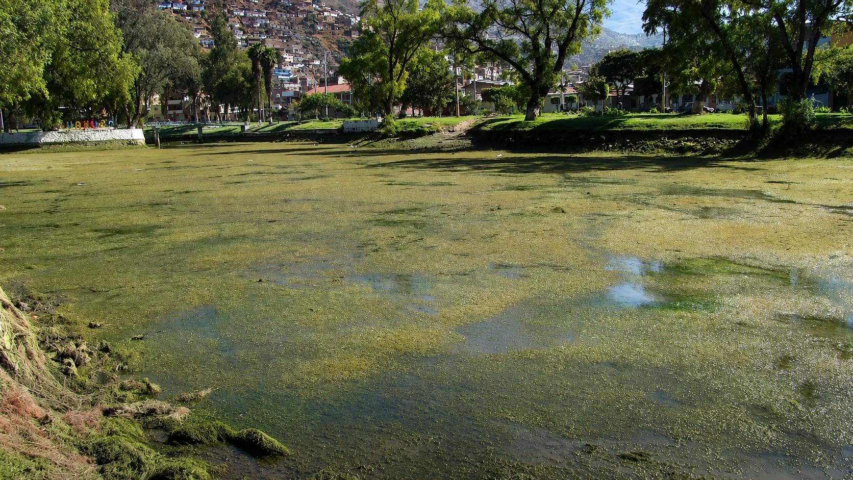 Corte admite a trámite amparo por Viña del Río y colectivos piden al OEFA paralizar la obra