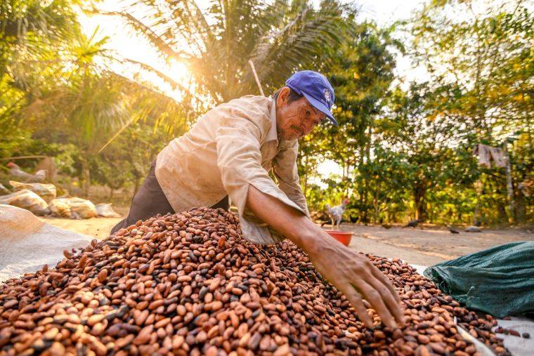 Huánuco lideró el crecimiento exportador regional con un aumento de 677 %