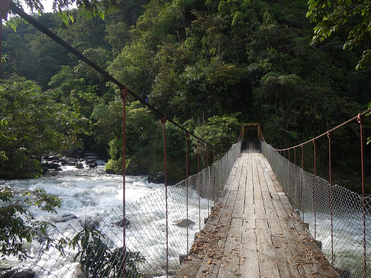 GOREHCO aprueba expediente de S/56.5 millones para culminar puente Tingo María-Castillo Grande