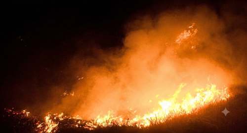 Incendio forestal deja una persona fallecida y seis hectáreas destruidas en Yanahuanca